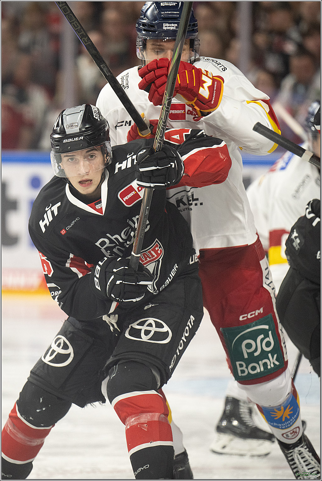 PENNY DEL; Koelner Haie-Duesseldorfer EG ; Koeln, 16.02.2025